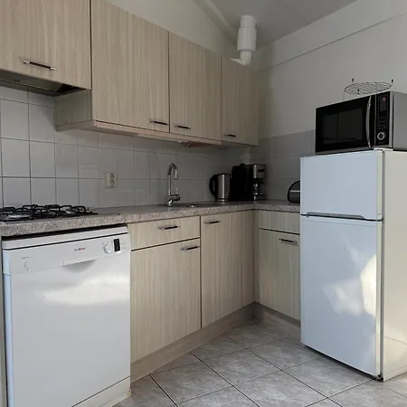 Zeester 217 * 朱丽安娜多普